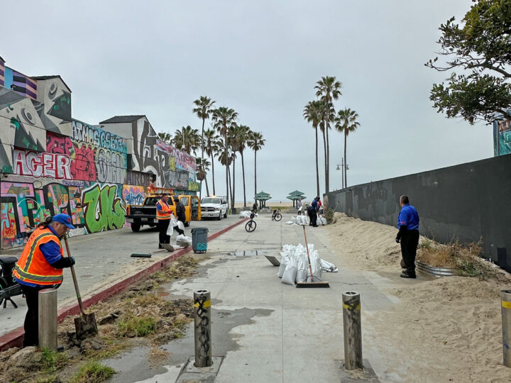 Venice Beach BID Bulletin | August 2024